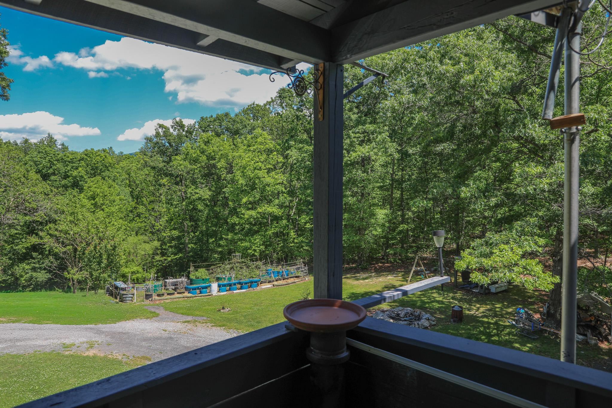 113 Calf Mountain Road Waynesboro, VA 22980 - Photo 4 of 53
