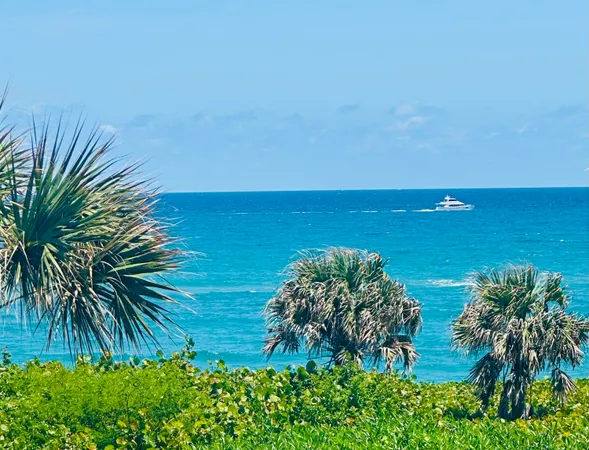 $14,500 | 420 Celestial Way, Unit 303, Juno Beach, FL 33408