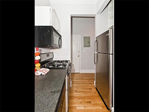 53 Rutland Street, Unit 2 Boston, MA 02118 - Photo 5 of 13