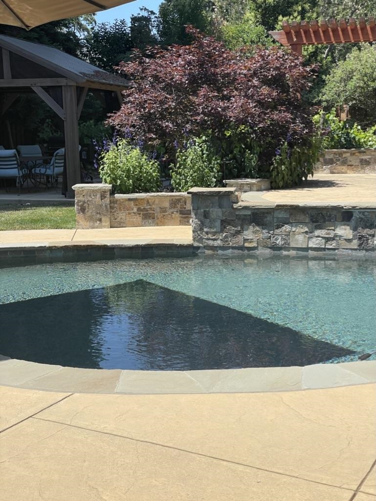 125 Timberline Court Danville, CA 94526 - Photo 9 of 11 a view of a yard