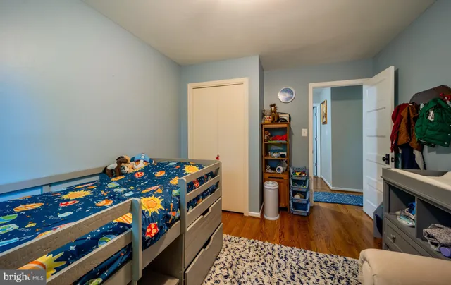 a view of a garden with a tree