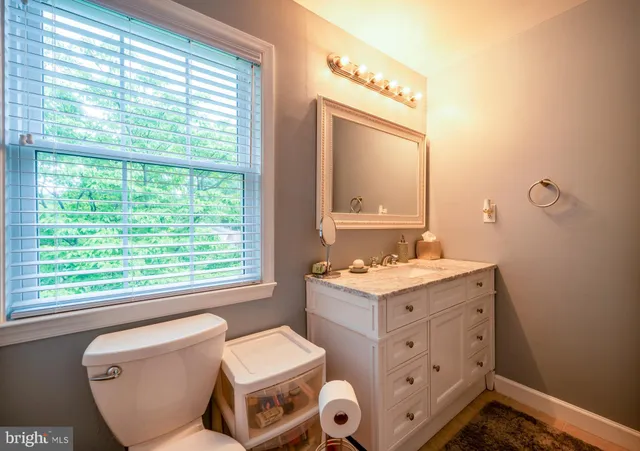 a view of a yard with plants and large trees