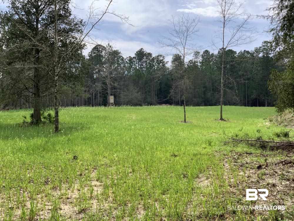 17525 Joe Gottler Road Elberta, AL 36530 - Photo 13 of 44