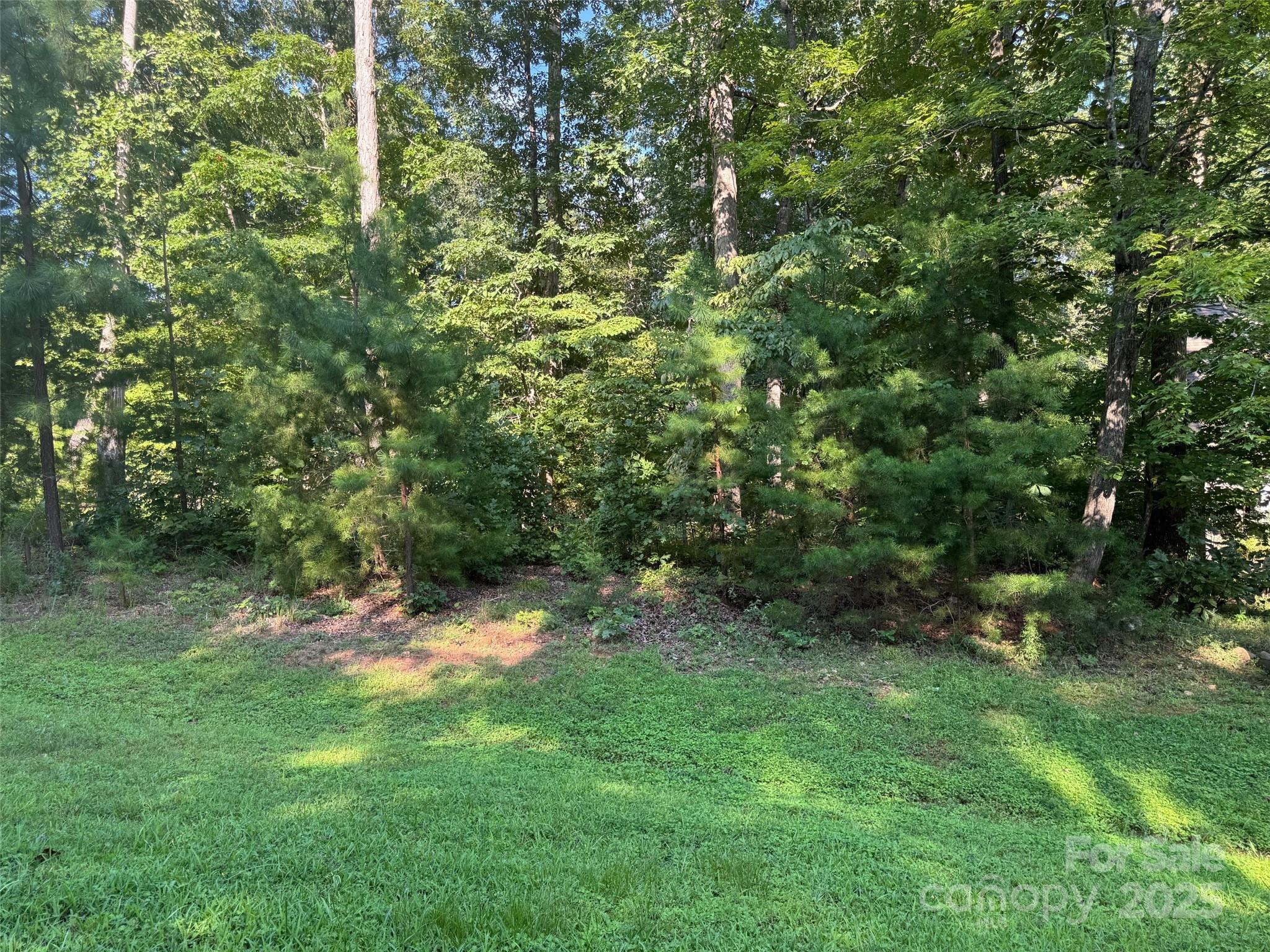 0 Wolf Road, Unit 8 Iron Station, NC 28080 - Photo 1 of 3 a view of a lush green forest