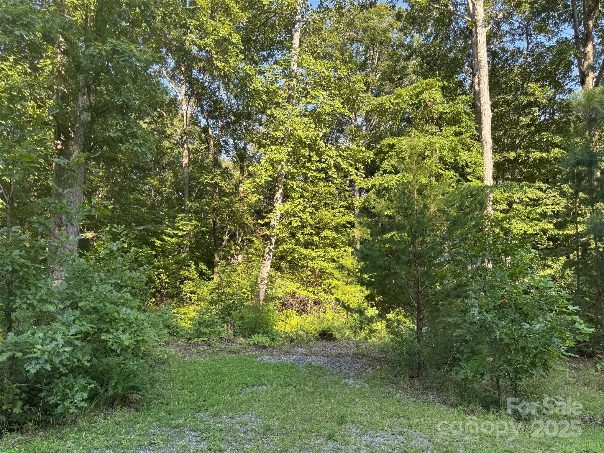 0 Wolf Road, Unit 8 Iron Station, NC 28080 - Photo 2 of 3