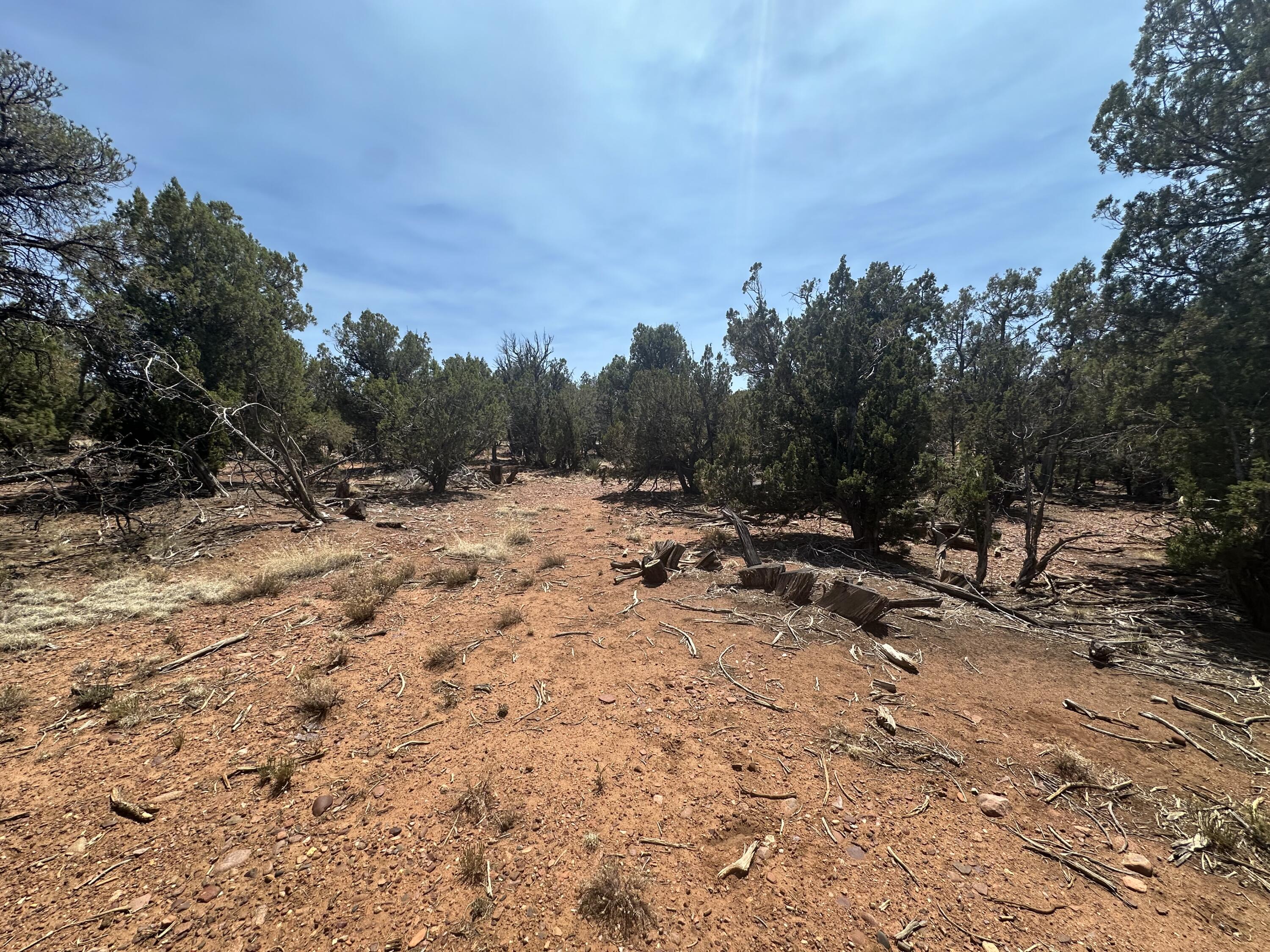 Lot #2 Power Line Road Pinetop, AZ 85935 - Photo 4 of 9