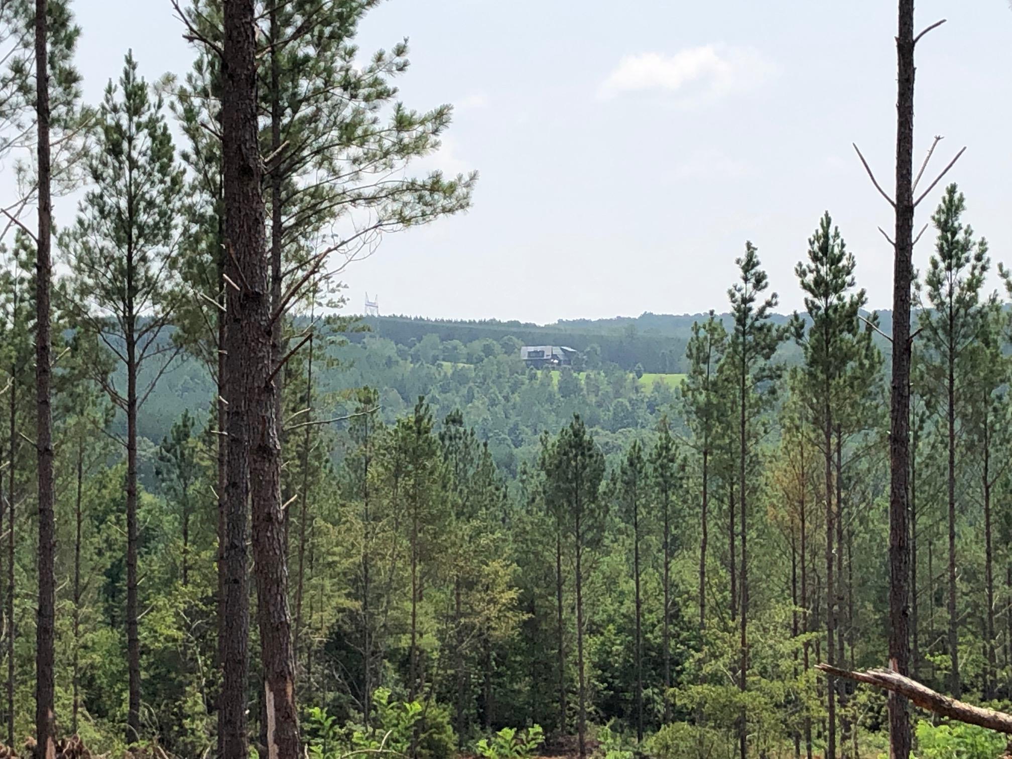 Lot 2 Lot Road Birchwood, TN 37308 - Photo 1 of 12 IMG_7005