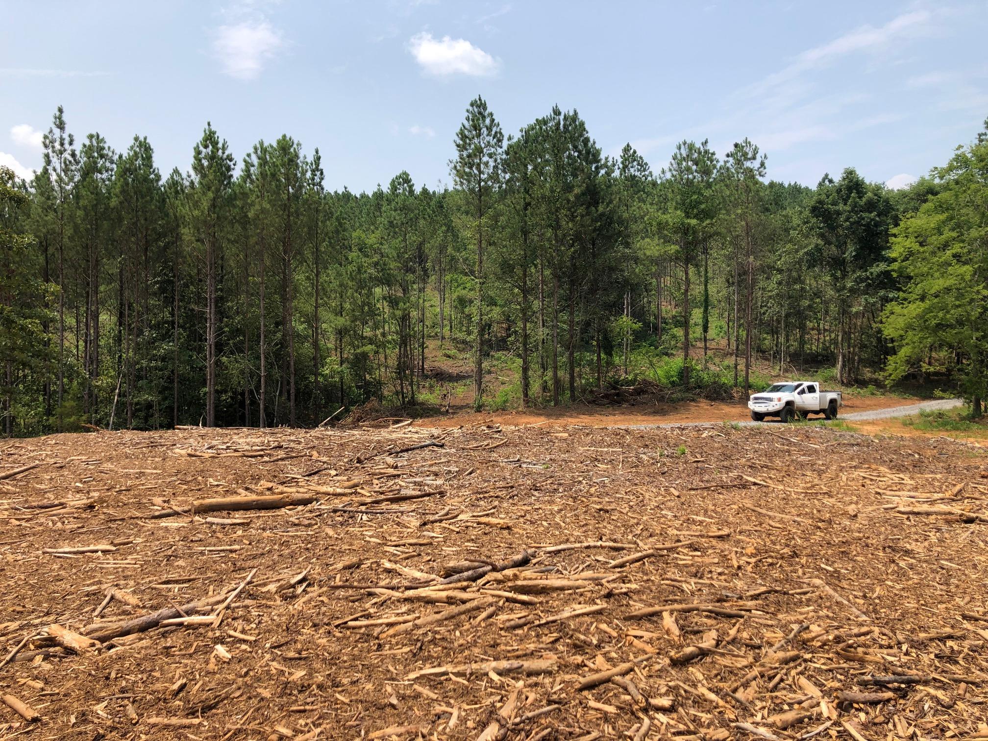 Lot 2 Lot Road Birchwood, TN 37308 - Photo 12 of 12 IMG_7012