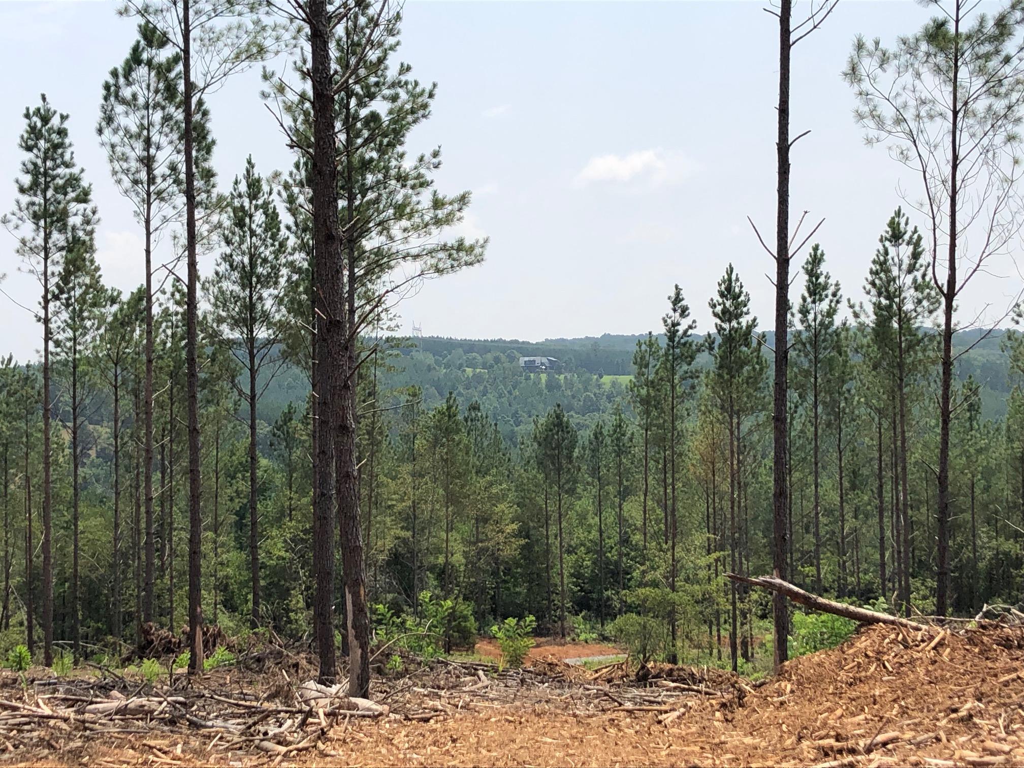 Lot 2 Lot Road Birchwood, TN 37308 - Photo 3 of 12 IMG_7006