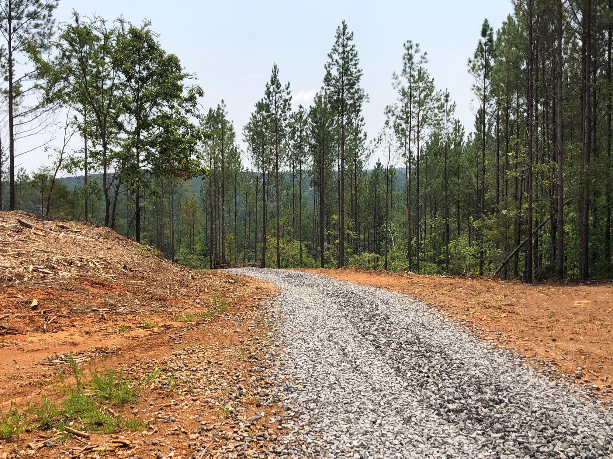Lot 2 Lot Road Birchwood, TN 37308 - Photo 10 of 12 IMG_7001