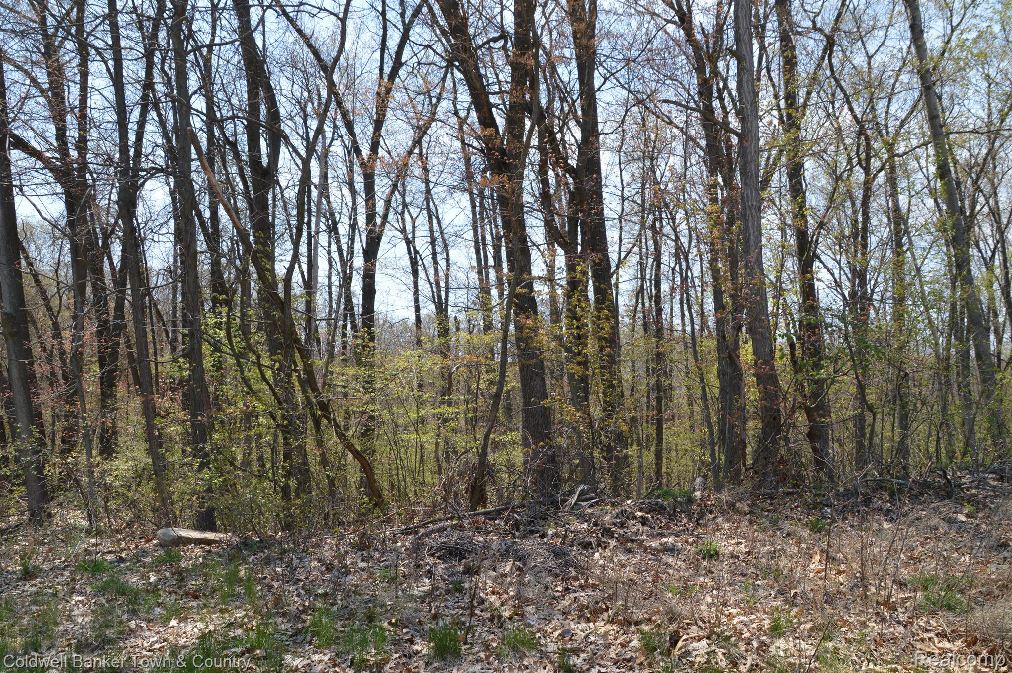 16240 Catalpa Ridge Holly, MI 48442 - Photo 22 of 25 Gallery Image 22