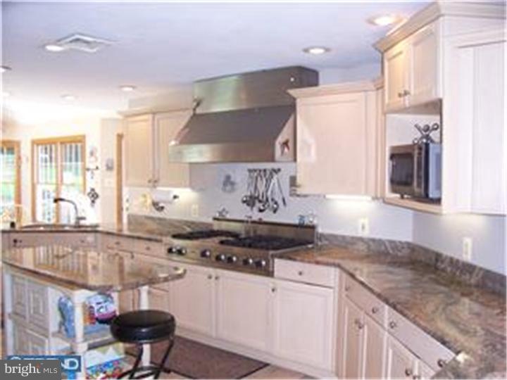 2283 Deer Path Road Huntingdon Valley, PA 19006 - Photo 6 of 19 Kitchen