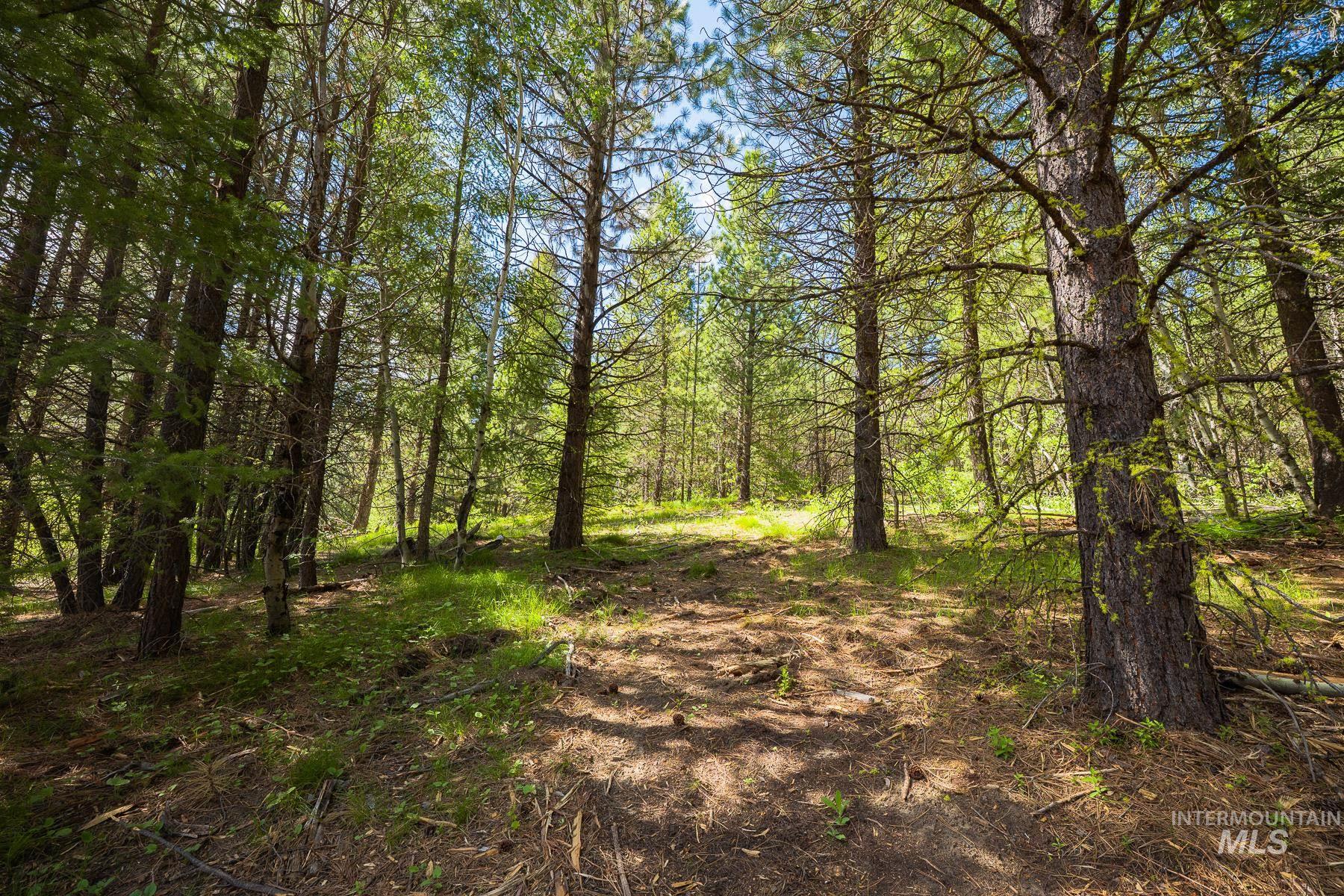 63 Price Loop Cascade, ID 83611 - Photo 15 of 20