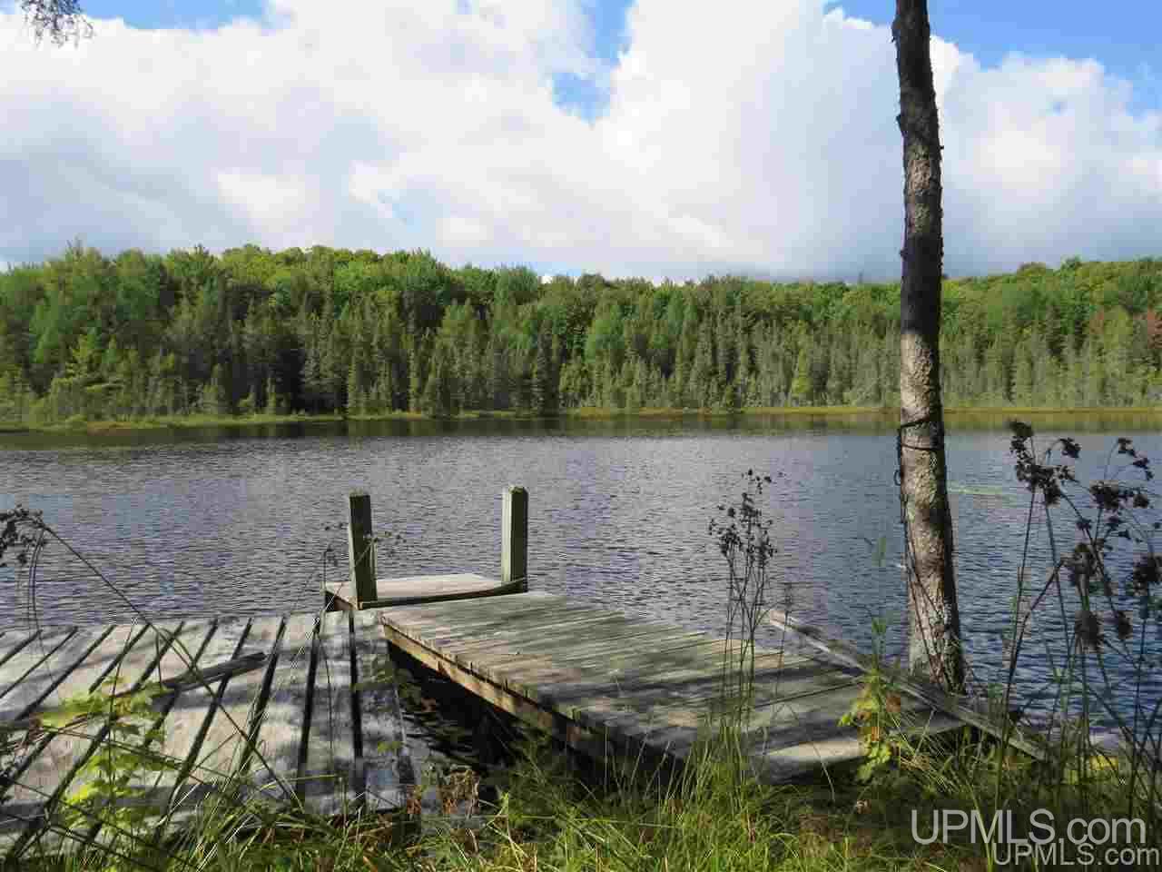 Tbd Off Lake On Three Road Trout Creek, MI 49967 - Photo 11 of 50