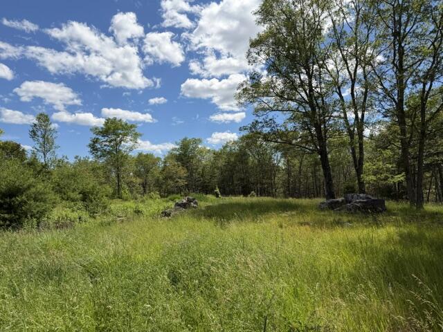 306 Cross Point Road, Unit AREAR LOT Edgecomb, ME 04556 - Photo 4 of 19 IMG_5102