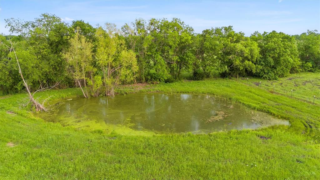 161 Pullen Road McLendon-Chisholm, TX 75032 - Photo 27 of 39 a view of a lake view
