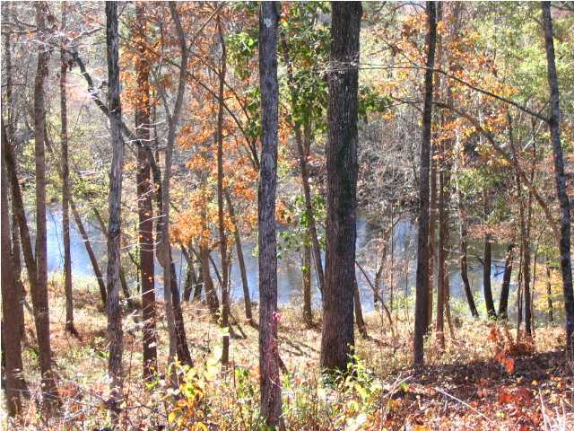 0 Rivers Edge Road Benton, TN 37307 - Photo 2 of 7 Additional Photo