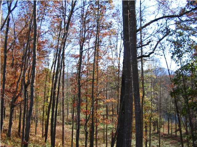 0 Rivers Edge Road Benton, TN 37307 - Photo 6 of 7 Additional Photo