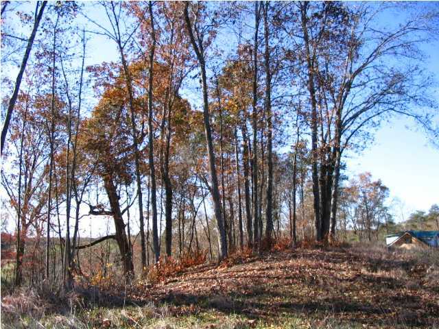 0 Rivers Edge Road Benton, TN 37307 - Photo 7 of 7 Additional Photo