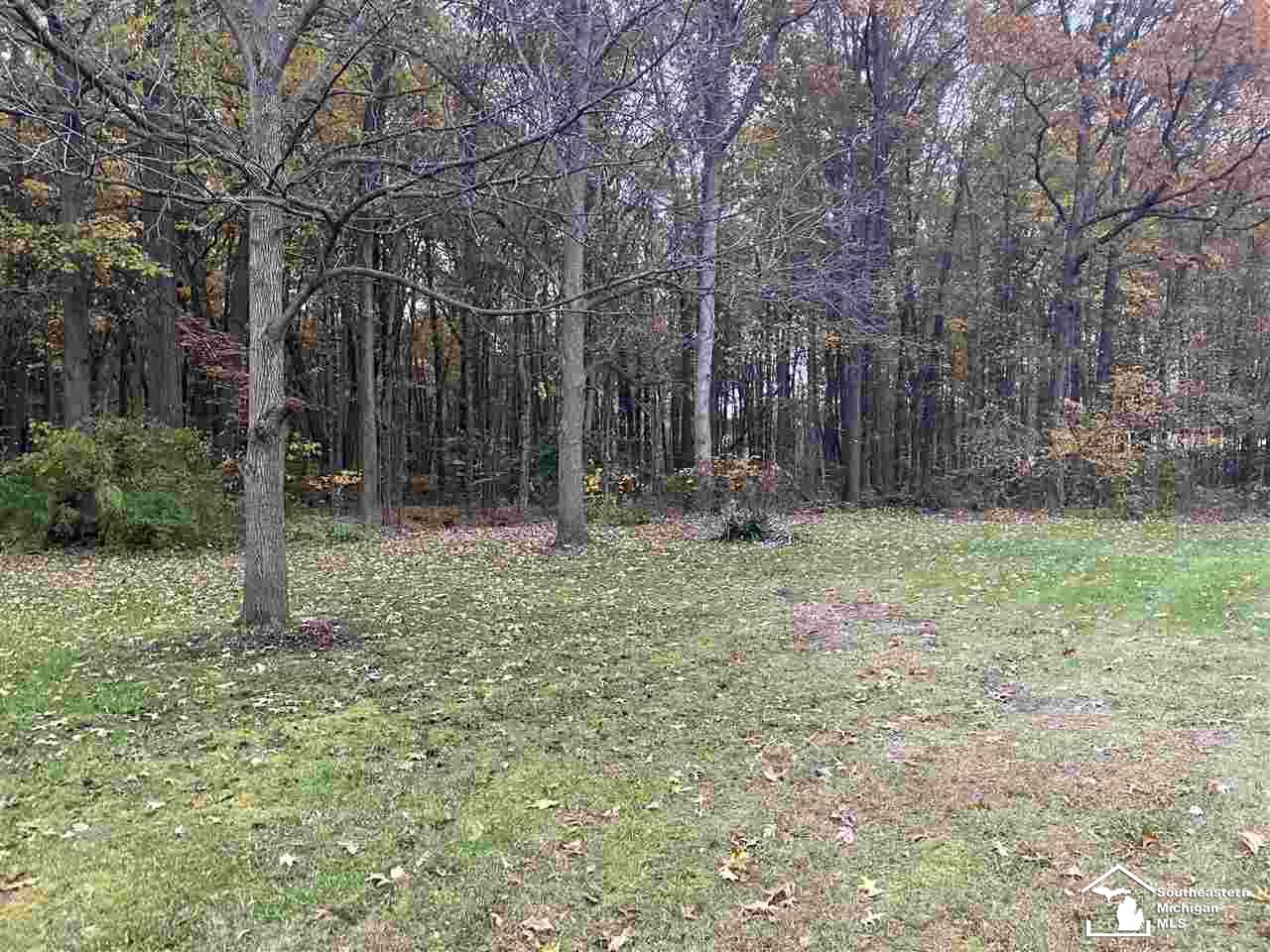 3635 Zink Road Carleton, MI 48117 - Photo 13 of 24 Gallery Image 13