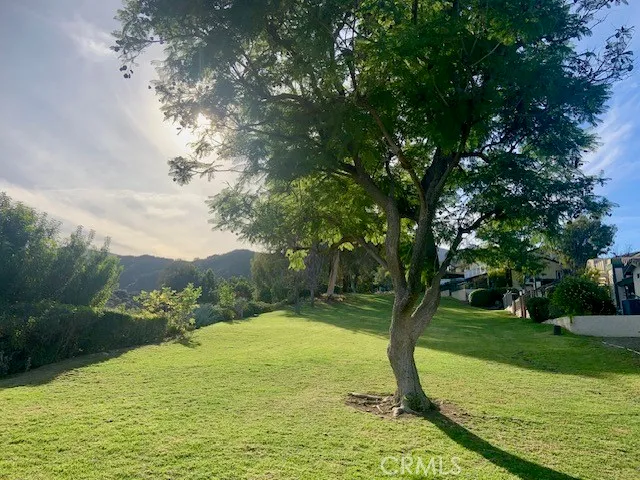 a view of outdoor space with yard and green space