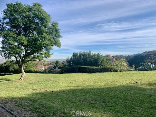 2641 Condor Circle Corona, CA 92882 - Photo 9 of 43 a view of outdoor space with yard and green space