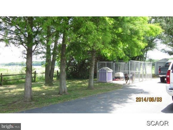1024 Gallo Road Harrington, DE 19952 - Photo 21 of 22 Gallery Image 21