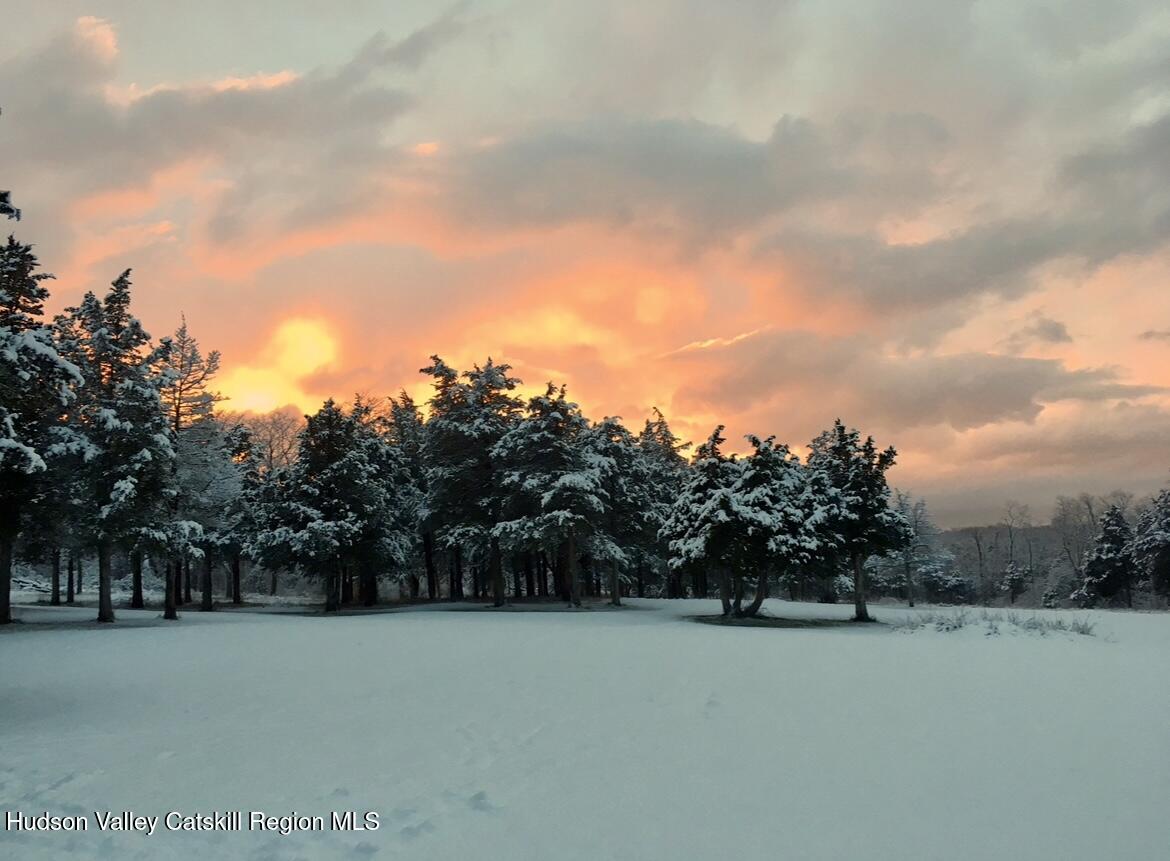 16 Spring Road Hudson, NY 12534 - Photo 60 of 64 a view of a field with trees in the background