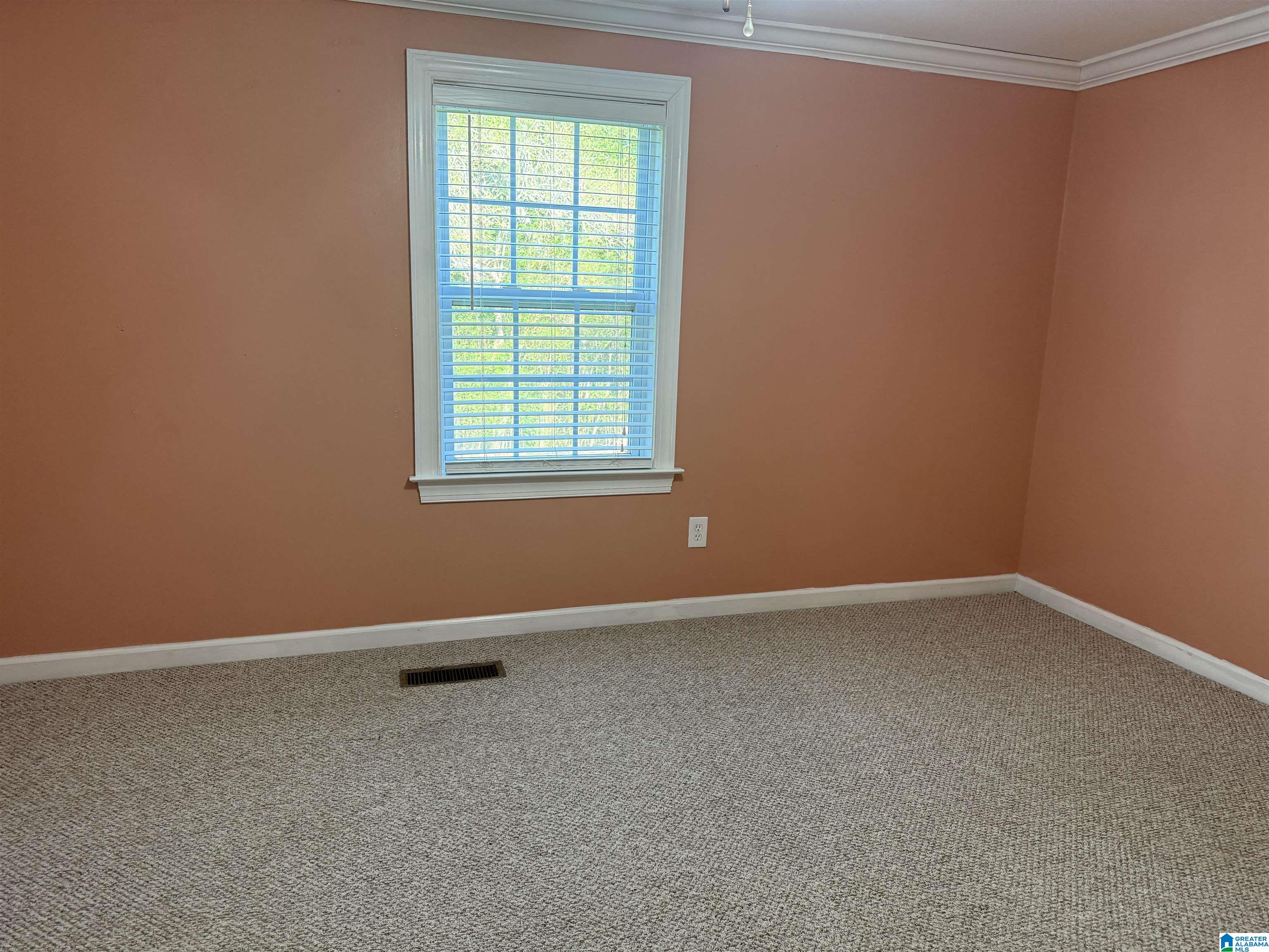 330 Wattsville Drive Ragland, AL 35131 - Photo 11 of 16