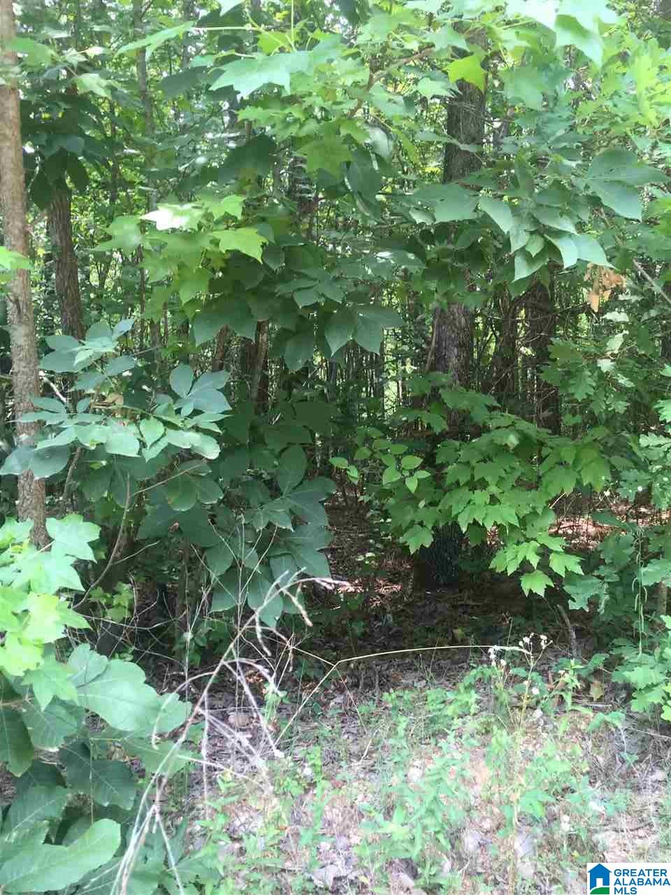 0 Rendalia Motorway, Unit 29 ACRES Talladega, AL 35160 - Photo 19 of 21