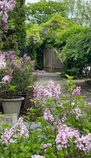 263 Polpis Road Nantucket, MA 02554 - Photo 30 of 53