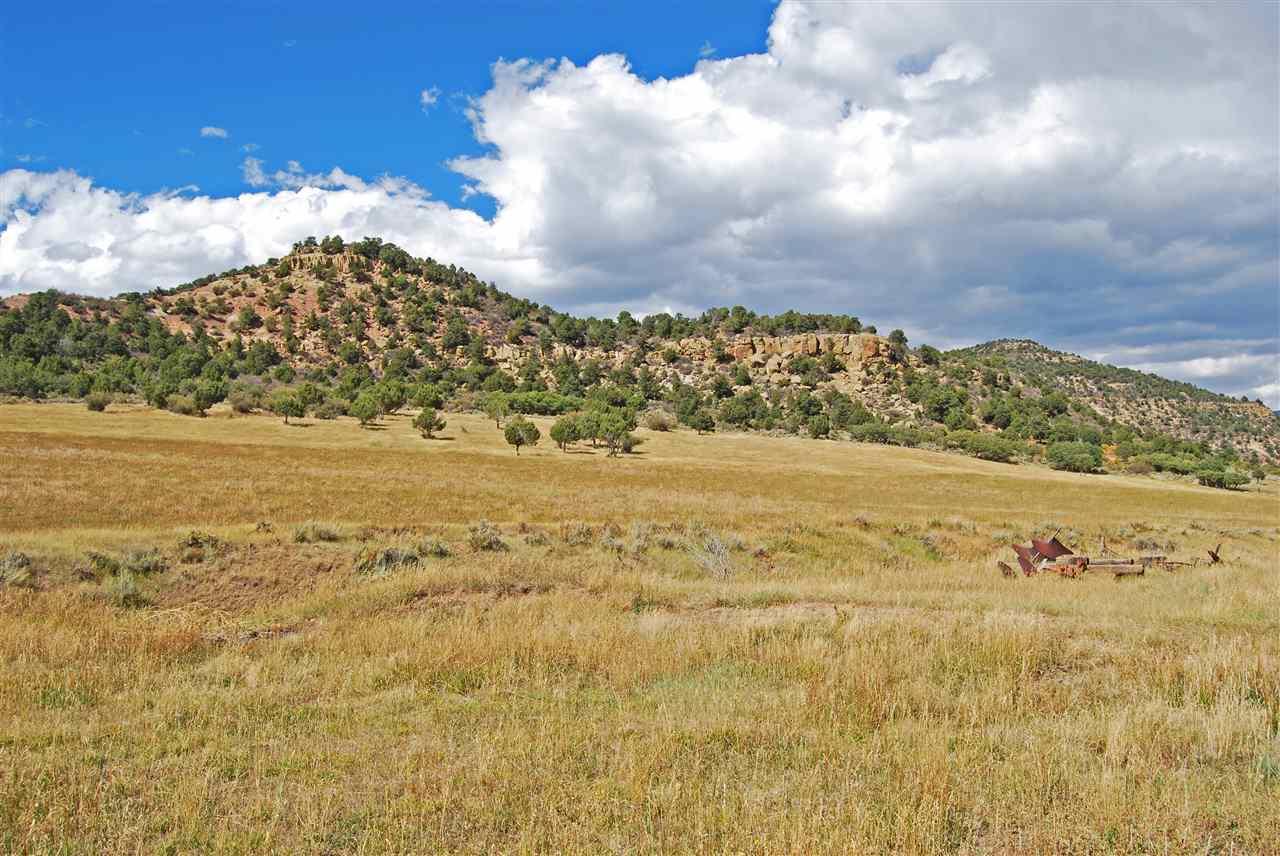 60892-me 60892-me R Road Collbran, CO 81624 - Photo 4 of 20 Gallery Image 4