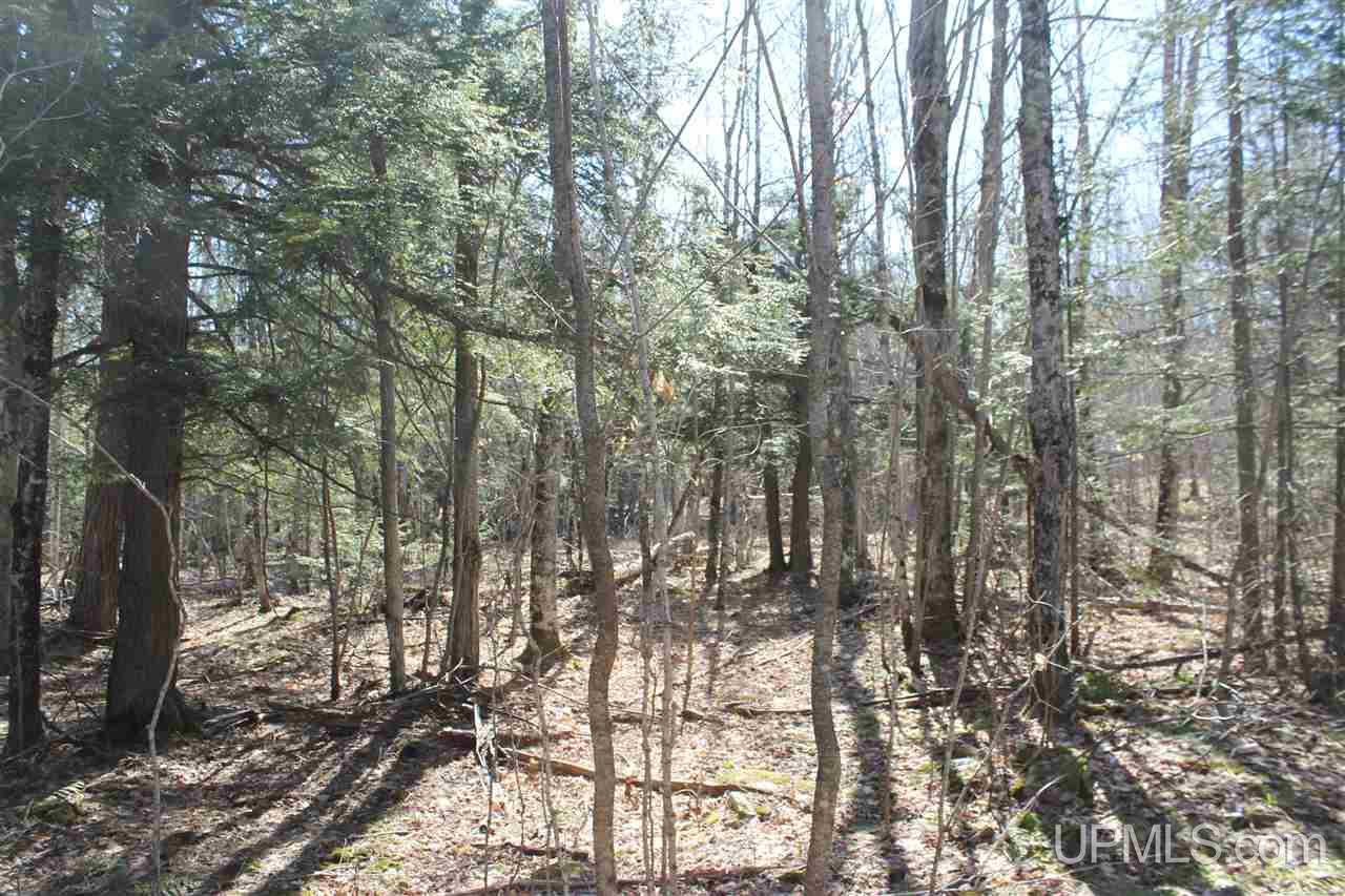 Tbd Tbd Trail Road, Unit 300 Deerton, MI 49822 - Photo 5 of 6