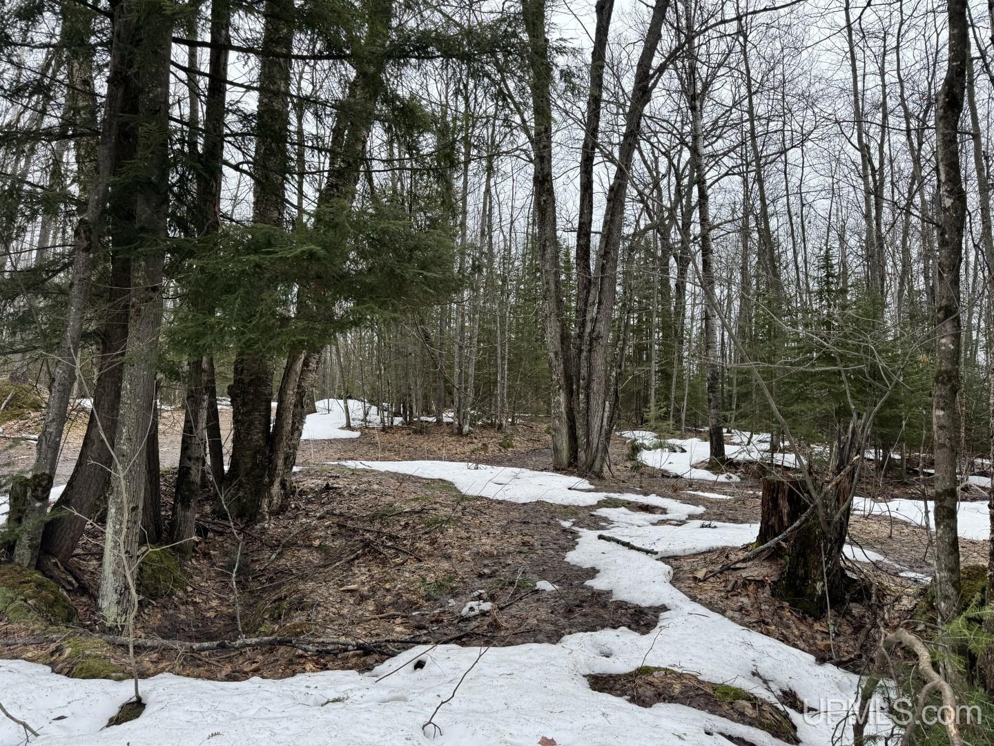 280-acres Off Pikes Peak Road Lanse, MI 49946 - Photo 13 of 21