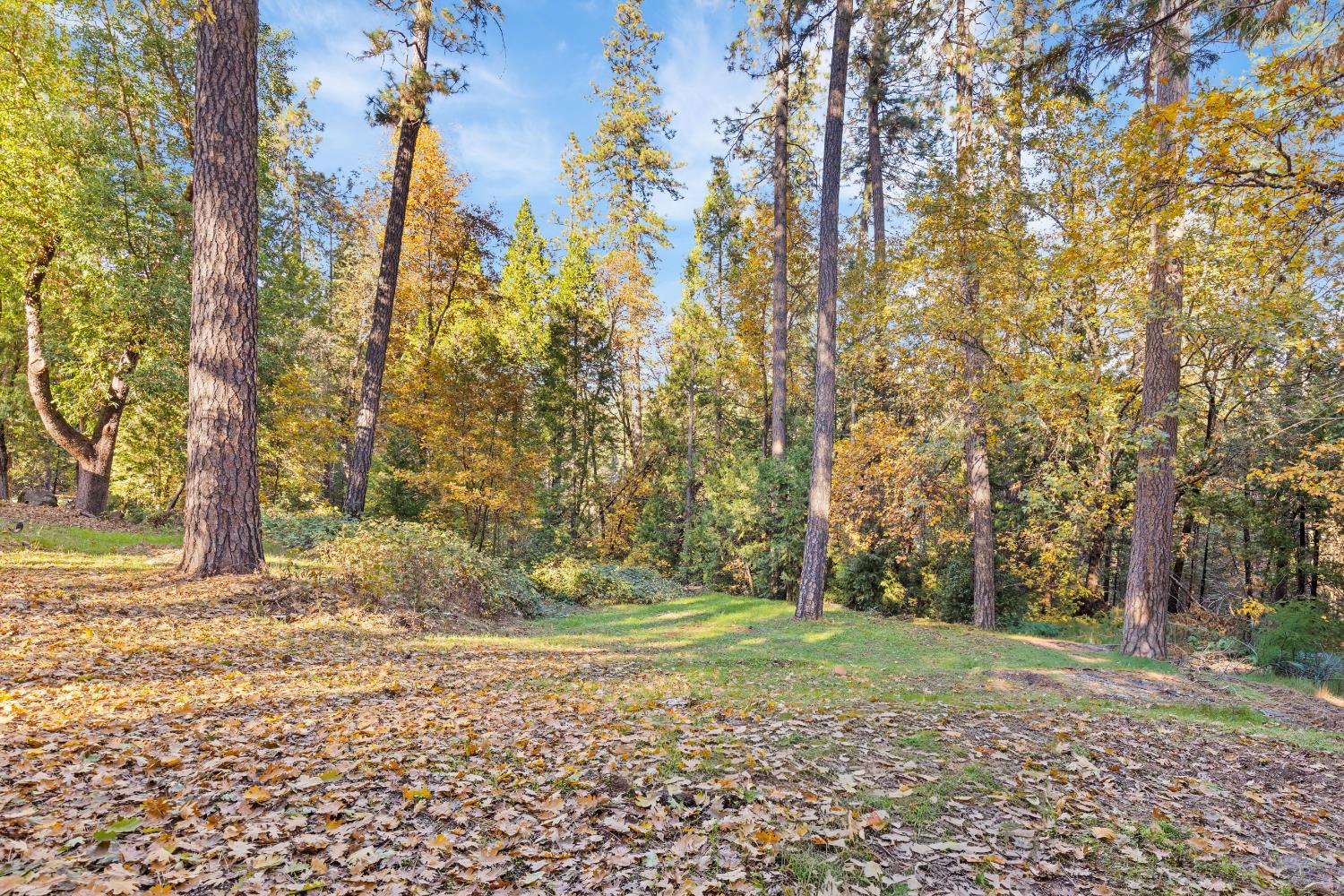 13139 North Meadow View Drive Grass Valley, CA 95945 - Photo 55 of 68 a backyard of a house with lots of green space