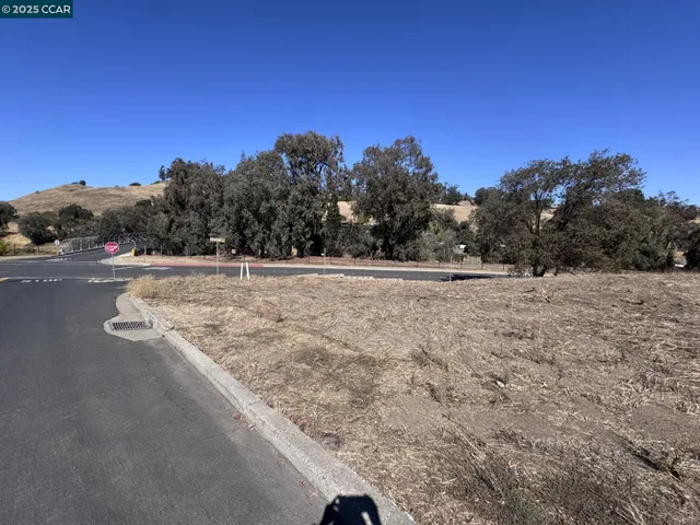 a view of a yard with trees in the background