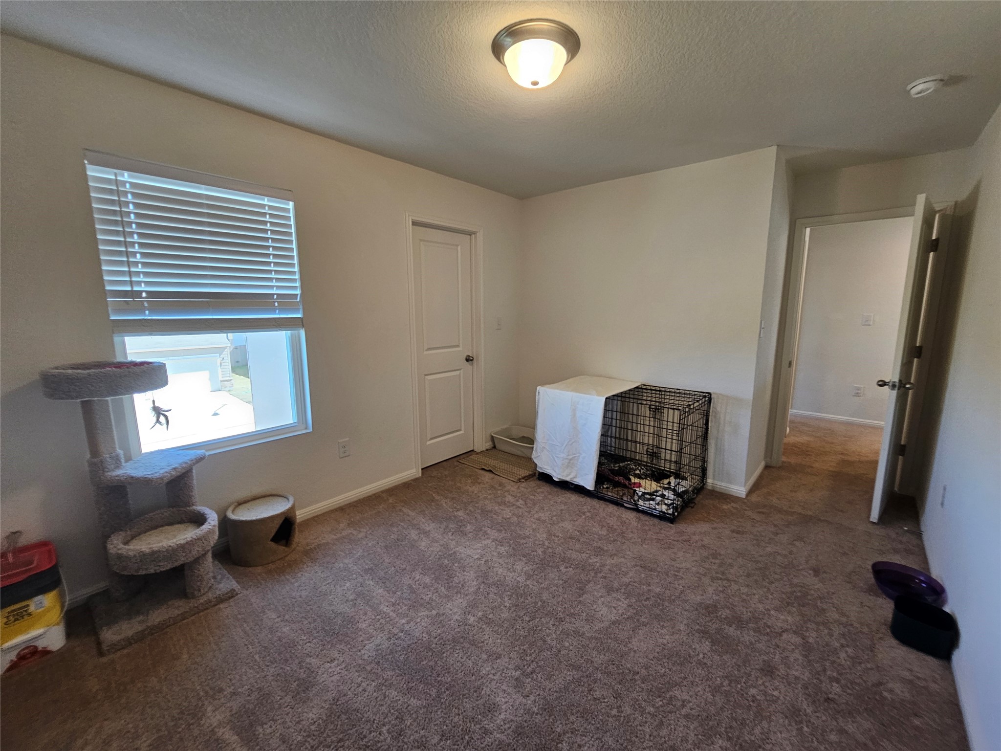 113 Athena Way Jarrell, TX 76537 - Photo 28 of 31