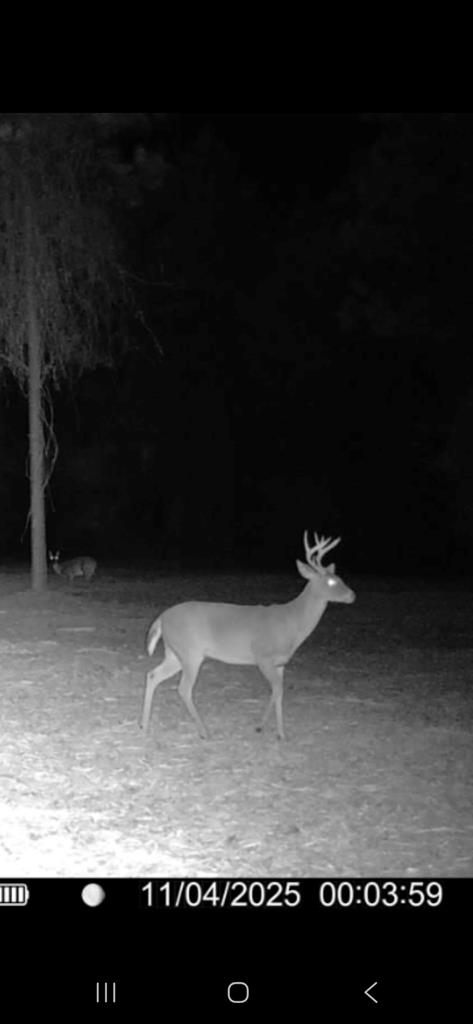 20-ac Coot Adams Road Ashford, AL 36312 - Photo 27 of 28