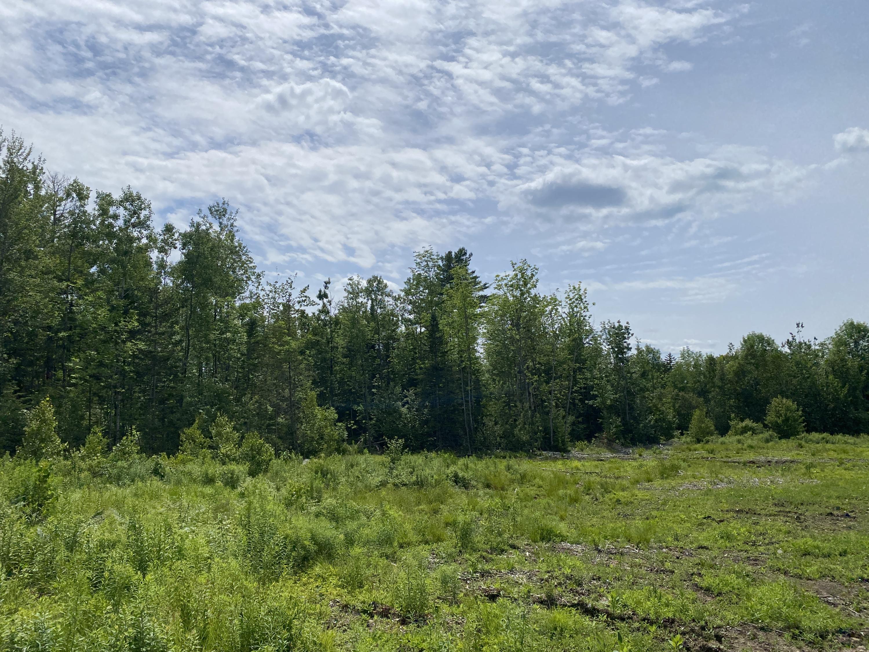 1509 Otis Road Ellsworth, ME 04605 - Photo 15 of 26 IMG_3885