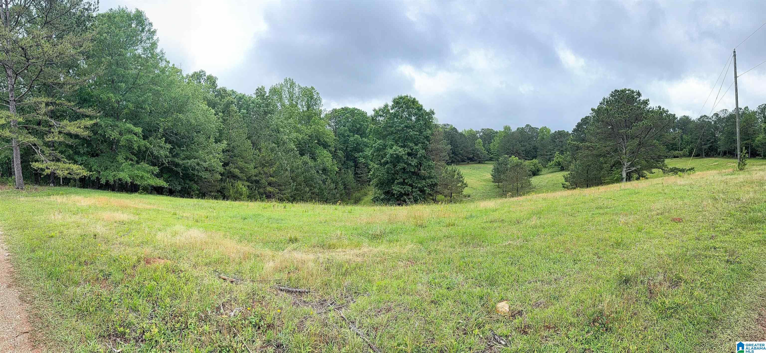2488 Louina Road Roanoke, AL 36274 - Photo 72 of 97