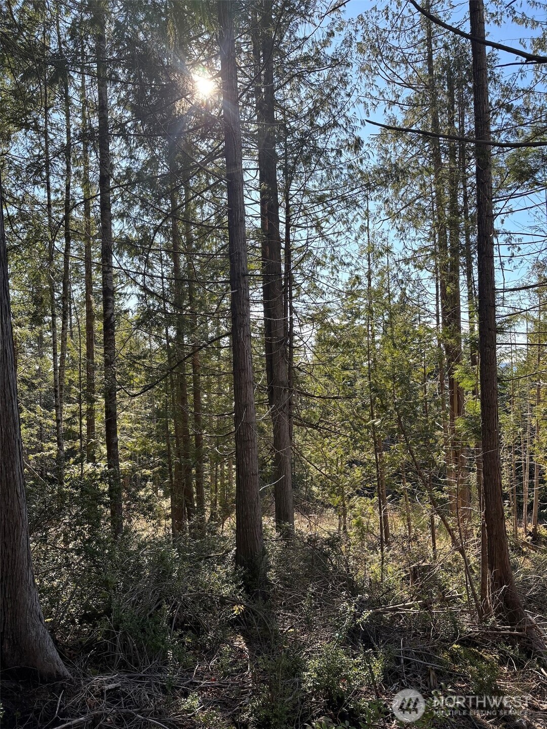 1 Yashi Road Brinnon, WA 98320 - Photo 3 of 6