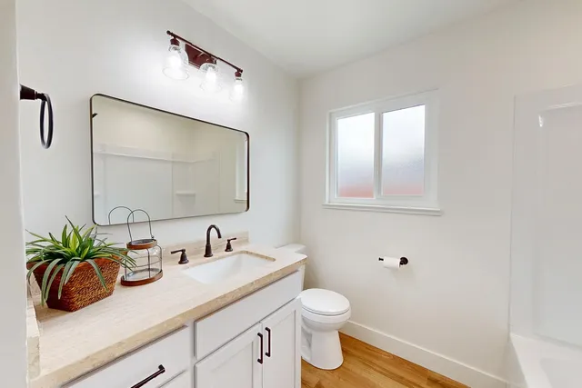 a bathroom with a sink a potted plant and a toilet