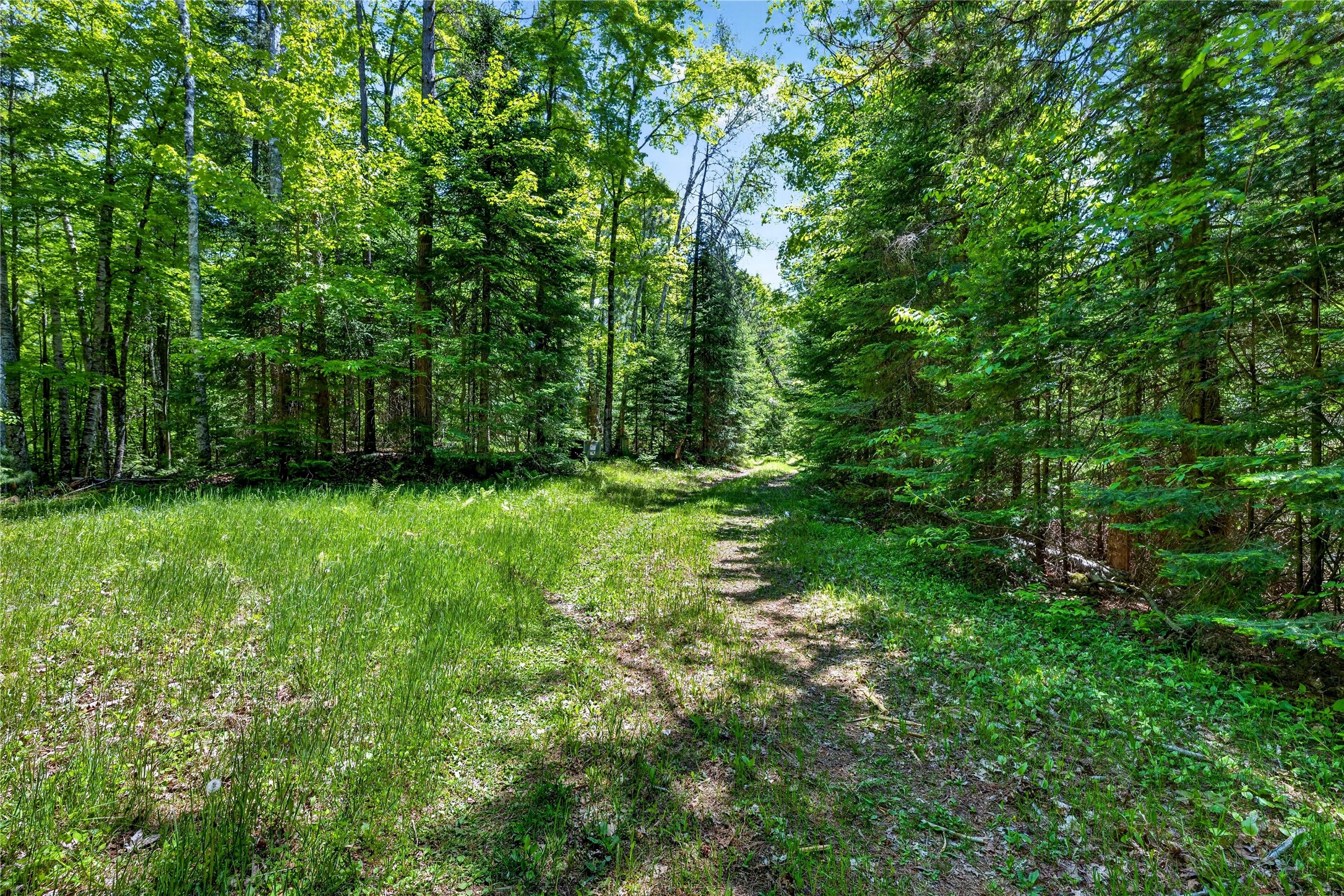 43545 Helm Pt Road Cable, WI 54821 - Photo 25 of 30