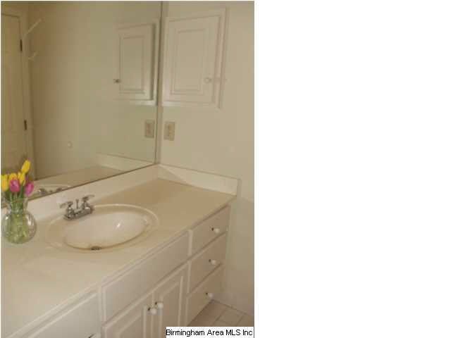 20 Spring Street Birmingham, AL 35213 - Photo 20 of 32