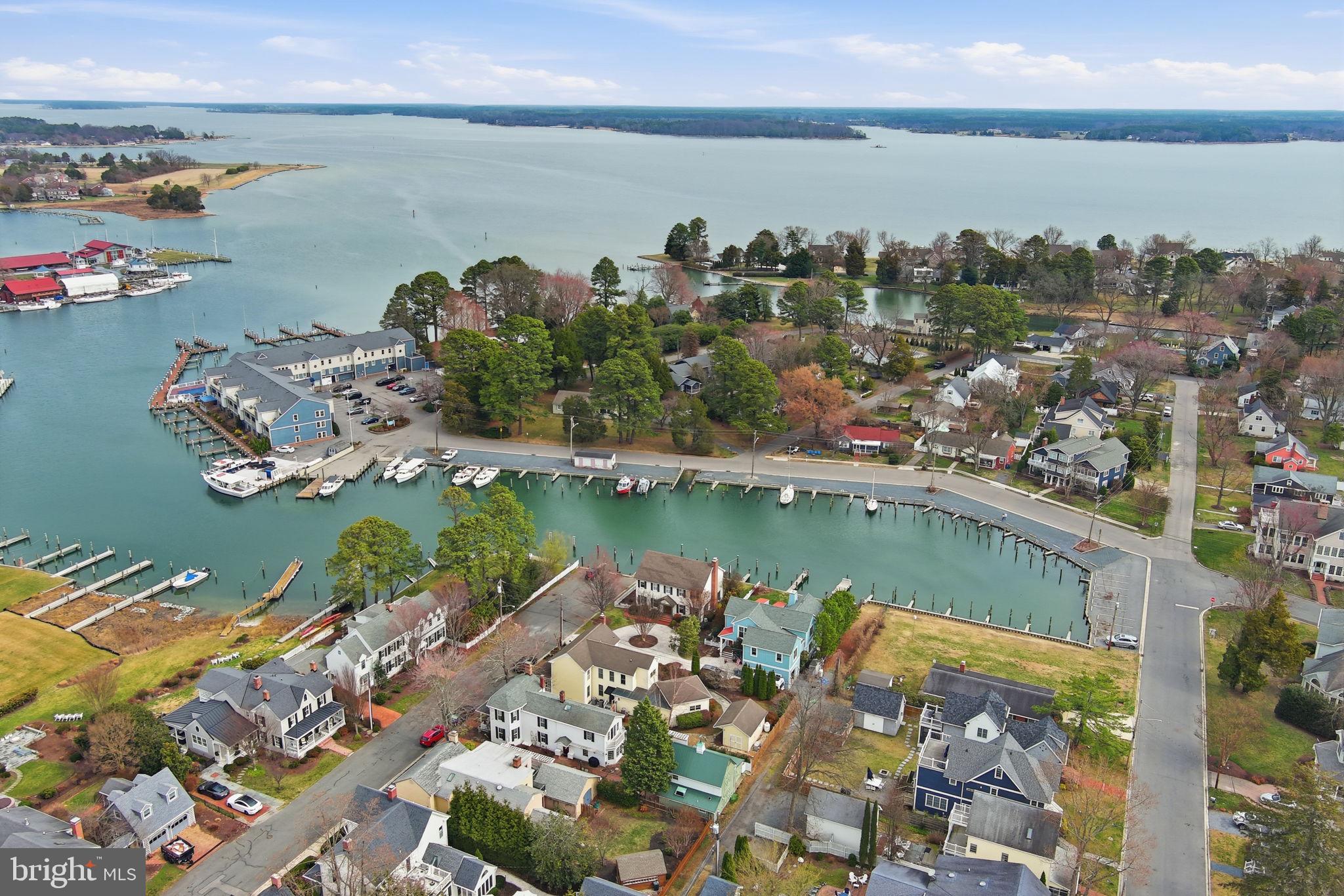222 East Chestnut Street St. Michaels, MD 21663 - Photo 31 of 58 a view of a city and lake view