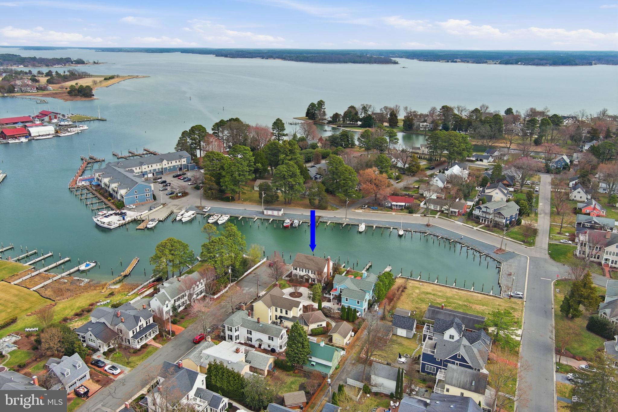 222 East Chestnut Street St. Michaels, MD 21663 - Photo 32 of 58 a view of a city and lake