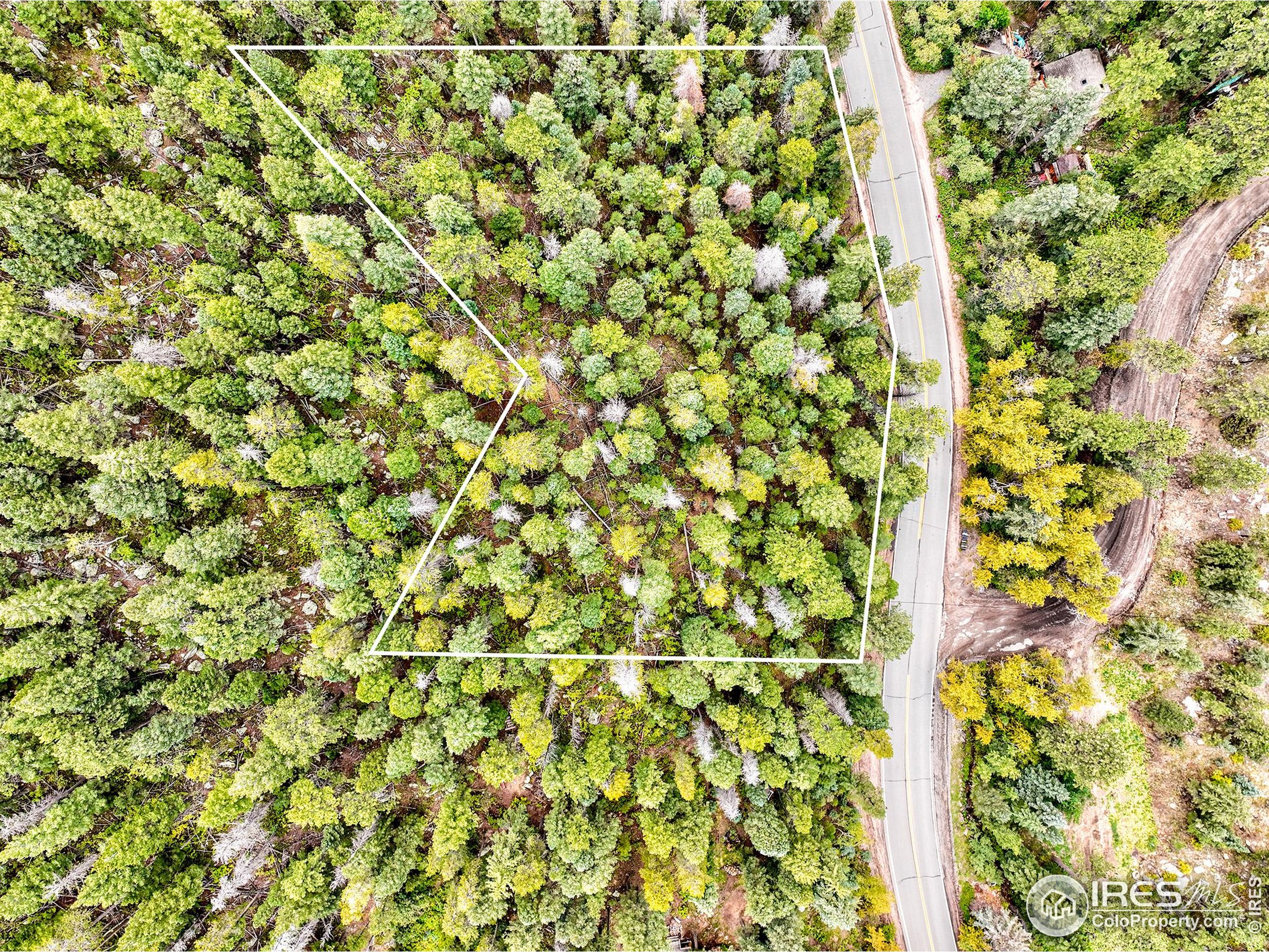 10862 Twin Spruce Road Golden, CO 80403 - Photo 15 of 15 a view of a yard