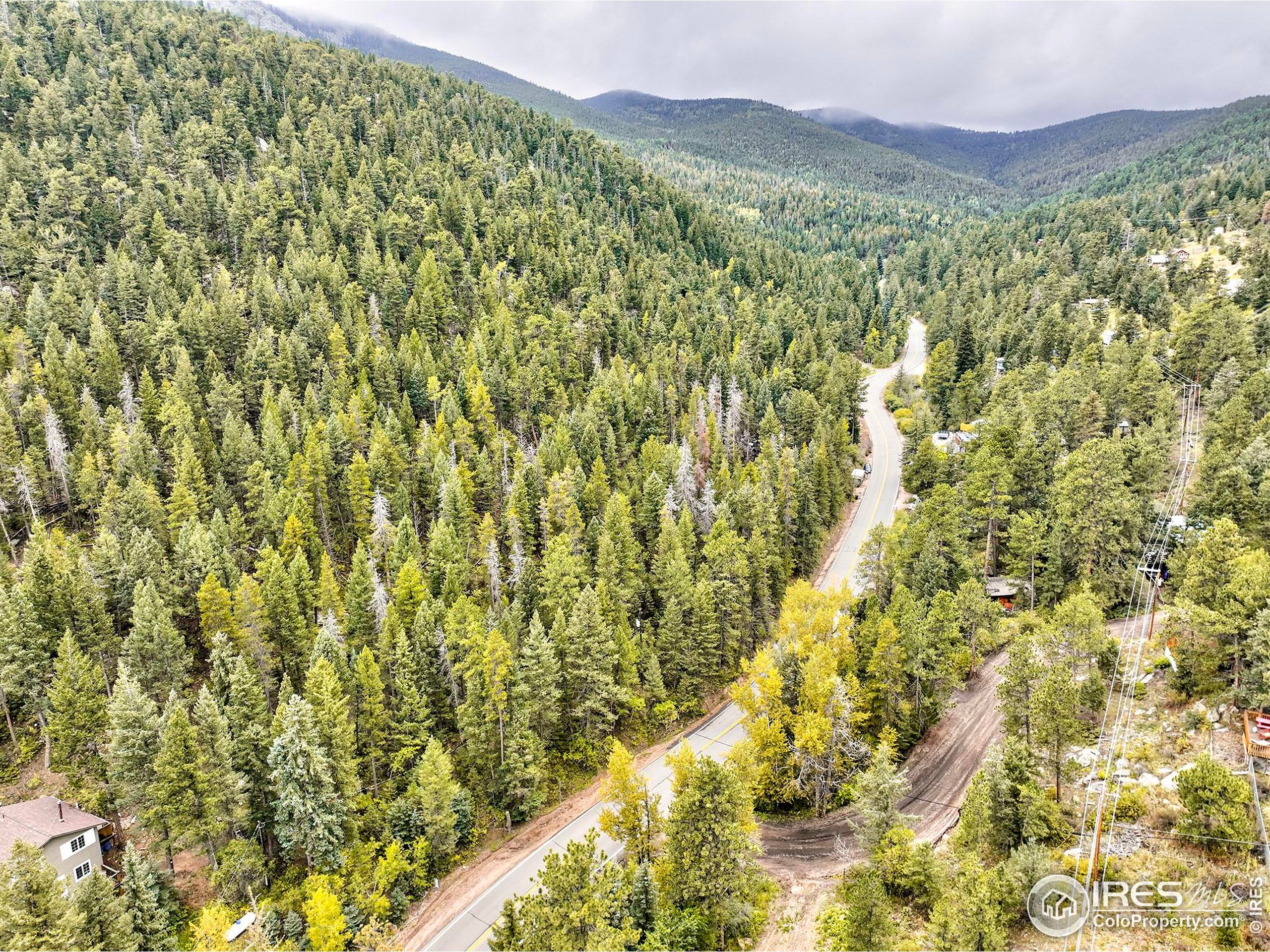 10862 Twin Spruce Road Golden, CO 80403 - Photo 6 of 15 a view of a forest with a mountain
