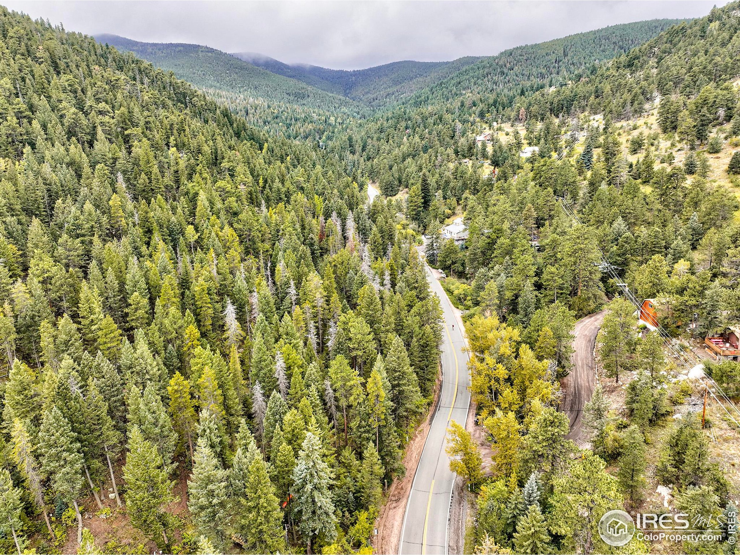 10862 Twin Spruce Road Golden, CO 80403 - Photo 8 of 15 a view of a forest with a mountain