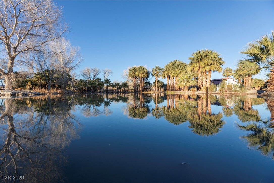 4255 Highway 168 Moapa, NV 89025 - Photo 12 of 99